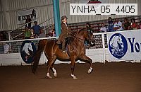 ynha_05_4405 thumbnail