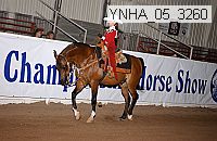 ynha_05_3260 thumbnail