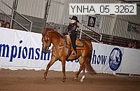 ynha_05_3262 thumbnail