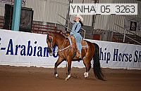 ynha_05_3263 thumbnail