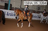 ynha_05_3264 thumbnail