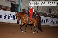 ynha_05_3267 thumbnail