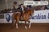 ynha_05_3275 thumbnail