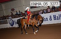 ynha_05_3277 thumbnail