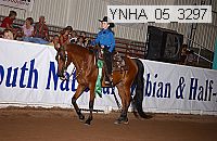 ynha_05_3297 thumbnail