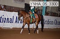 ynha_05_3300 thumbnail