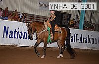 ynha_05_3301 thumbnail