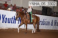 ynha_05_3302 thumbnail