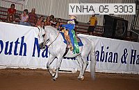 ynha_05_3303 thumbnail