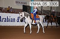 ynha_05_3305 thumbnail