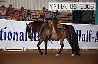 ynha_05_3306 thumbnail