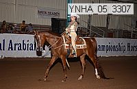 ynha_05_3307 thumbnail