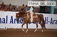 ynha_05_3308 thumbnail