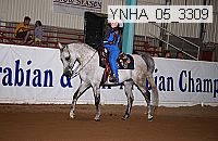 ynha_05_3309 thumbnail