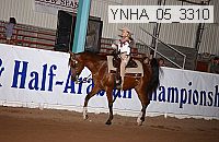ynha_05_3310 thumbnail