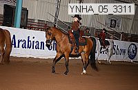 ynha_05_3311 thumbnail