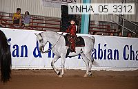 ynha_05_3312 thumbnail