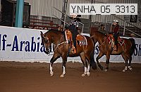 ynha_05_3313 thumbnail