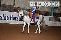 ynha_05_3314 thumbnail