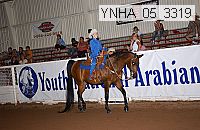 ynha_05_3319 thumbnail