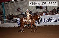 ynha_05_3320 thumbnail