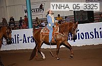 ynha_05_3325 thumbnail