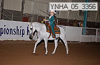 ynha_05_3356 thumbnail