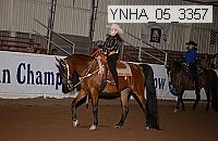 ynha_05_3357 thumbnail