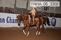 ynha_05_3358 thumbnail