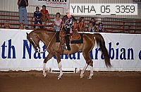 ynha_05_3359 thumbnail