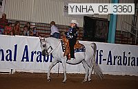 ynha_05_3360 thumbnail