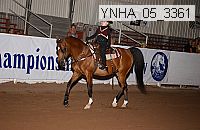 ynha_05_3361 thumbnail