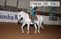 ynha_05_3362 thumbnail
