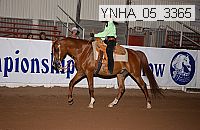 ynha_05_3365 thumbnail