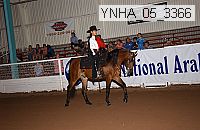 ynha_05_3366 thumbnail