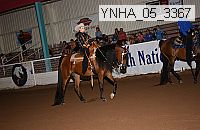 ynha_05_3367 thumbnail