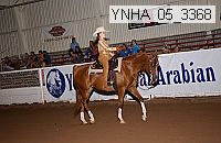 ynha_05_3368 thumbnail