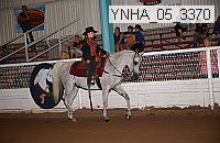 ynha_05_3370 thumbnail
