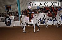 ynha_05_3371 thumbnail