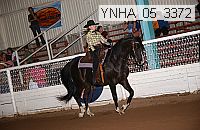 ynha_05_3372 thumbnail