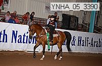 ynha_05_3390 thumbnail