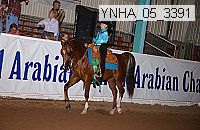 ynha_05_3391 thumbnail