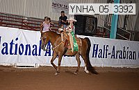 ynha_05_3392 thumbnail