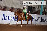 ynha_05_3393 thumbnail