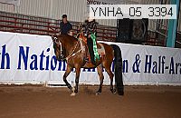 ynha_05_3394 thumbnail