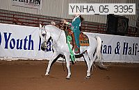 ynha_05_3395 thumbnail