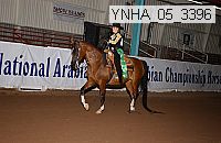 ynha_05_3396 thumbnail