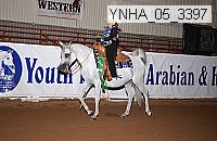 ynha_05_3397 thumbnail