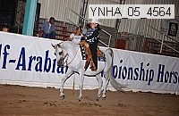 ynha_05_4564 thumbnail