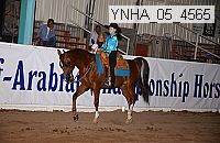 ynha_05_4565 thumbnail